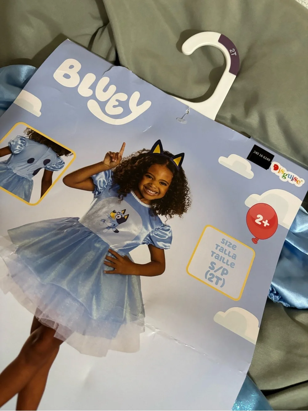 Target Bluey Light Blue Tulle Dress Costume (Blue) - Picture 2 of 4